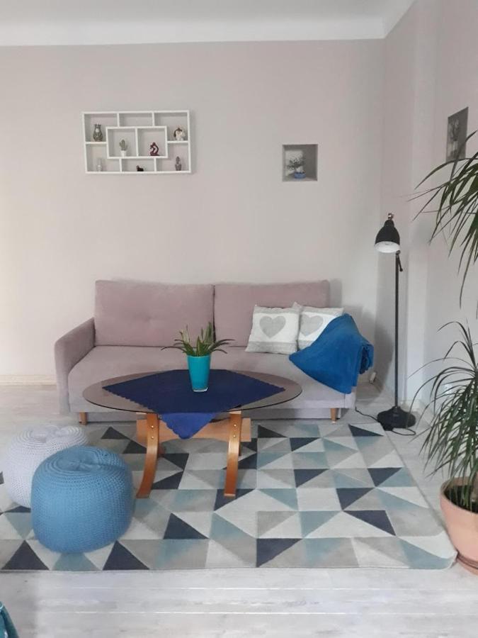 Apartament W Sercu Warmii I オルシュティン エクステリア 写真