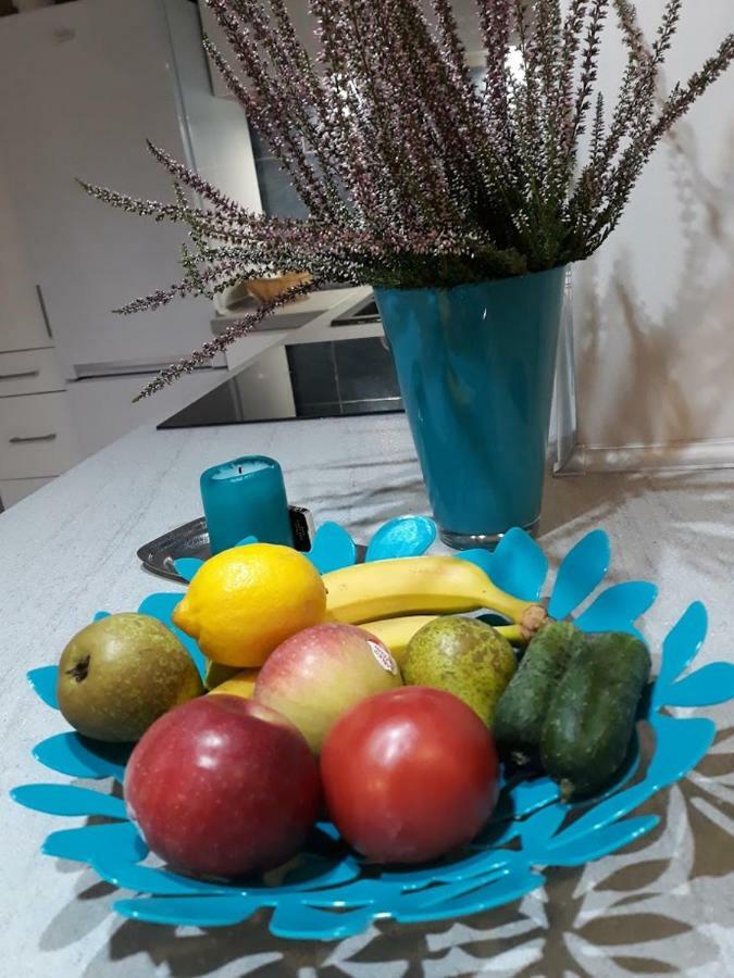 Apartament W Sercu Warmii I オルシュティン エクステリア 写真